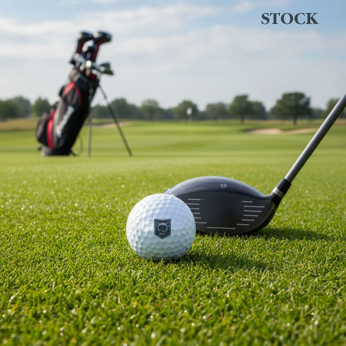 Titleist Pro V1 Dozen Golf Balls